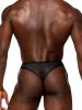 Sassy Lace - Open Ring Thong - Large/x-Large - Black