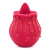 2022 New Frequency Vibration SuckinGModes-Waterproof Hand Wand Massager