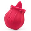 2022 New Frequency Vibration SuckinGModes-Waterproof Hand Wand Massager