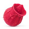 2022 New Frequency Vibration SuckinGModes-Waterproof Hand Wand Massager